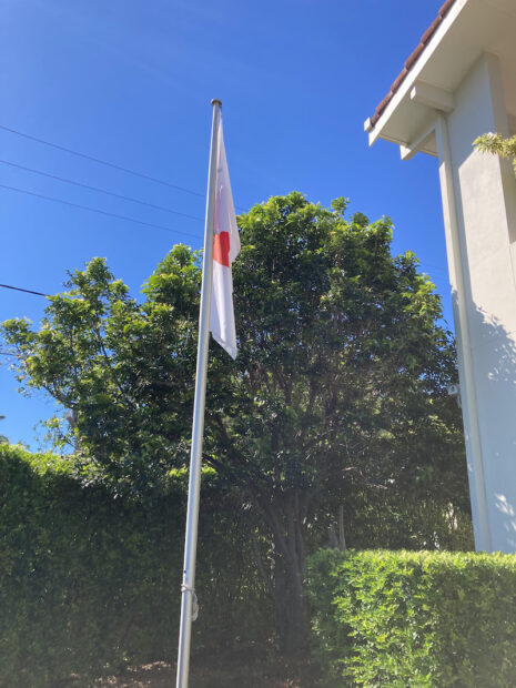 外務省の理学療法事業